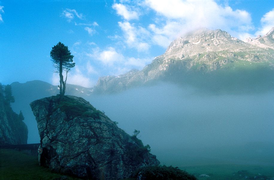 Morgenstimmung im Hochgebirge